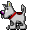 amigo